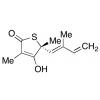  (R)-(+)-Thiolactomycin 