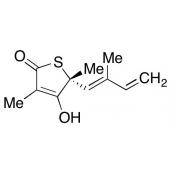  (R)-(+)-Thiolactomycin 