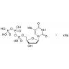  Thymidine 5-Triphosphate 