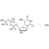  Thymidine 5-Triphosphate 