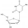  Thymidine-1',2',3',4',5'-13C5 