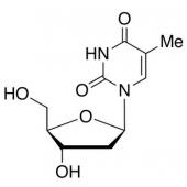  Thymidine 