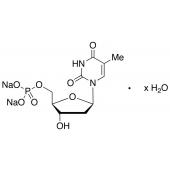  Thymidine 5'-Monophosphate 