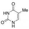  Thymine 