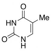  Thymine 