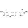  Thyroxine Methyl Ester 