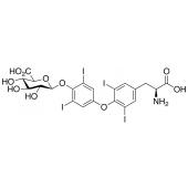  Thyroxine 4-O--D-Glucuronide 