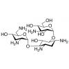  Tobramycin 