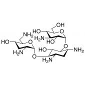  Tobramycin 