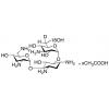  Tobramycin-D, 18O Acetic Acid 