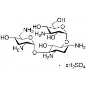  Tobramycin Sulphate Salt 