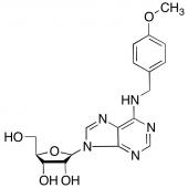  N6-(4-Methoxybenzyl)adenosine 