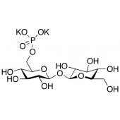  Trehalose 6-Phosphate 