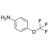  4-(Trifluoromethoxy)aniline 