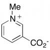  Trigonelline 