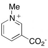  Trigonelline 