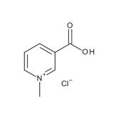  Trigonelline Chloride 