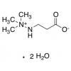  3-(1,1,1-Trimethylhydrazin-1- 