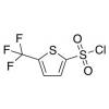  5-(Trifluoromethyl)thiophene- 