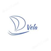  Vela C18 AQ 10um 250 x 2,1 mm 