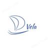  Vela DIOL 5um 50 x 4,6 mm 
