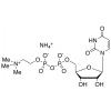  Uridine Diphosphate Choline 