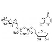  Uridine 5'-Diphosphoglucose 