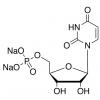  Uridine 5-Monophosphate 