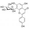  Vitexin 