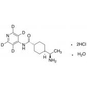  Y-27632-d4 Dihydrochloride 